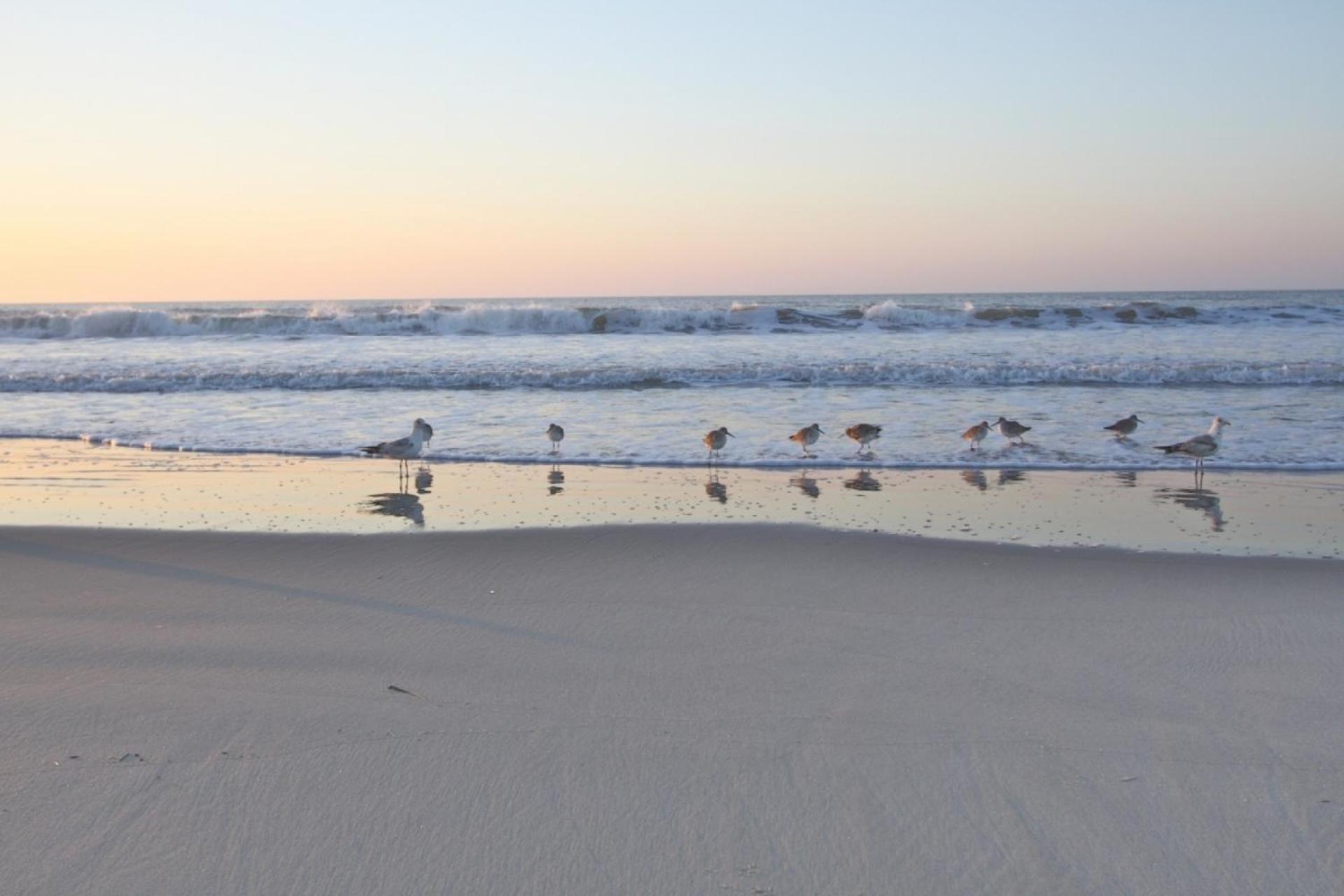 Serenity Folly Beach Luaran gambar
